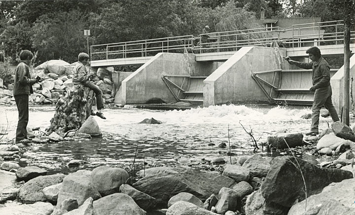 1970 DAM -wpl00245l